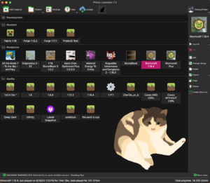 A screenshot of a Prism Launcher instance with Rory as the cat